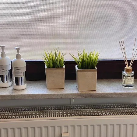 Main Flat - Geniessen * Würzburg